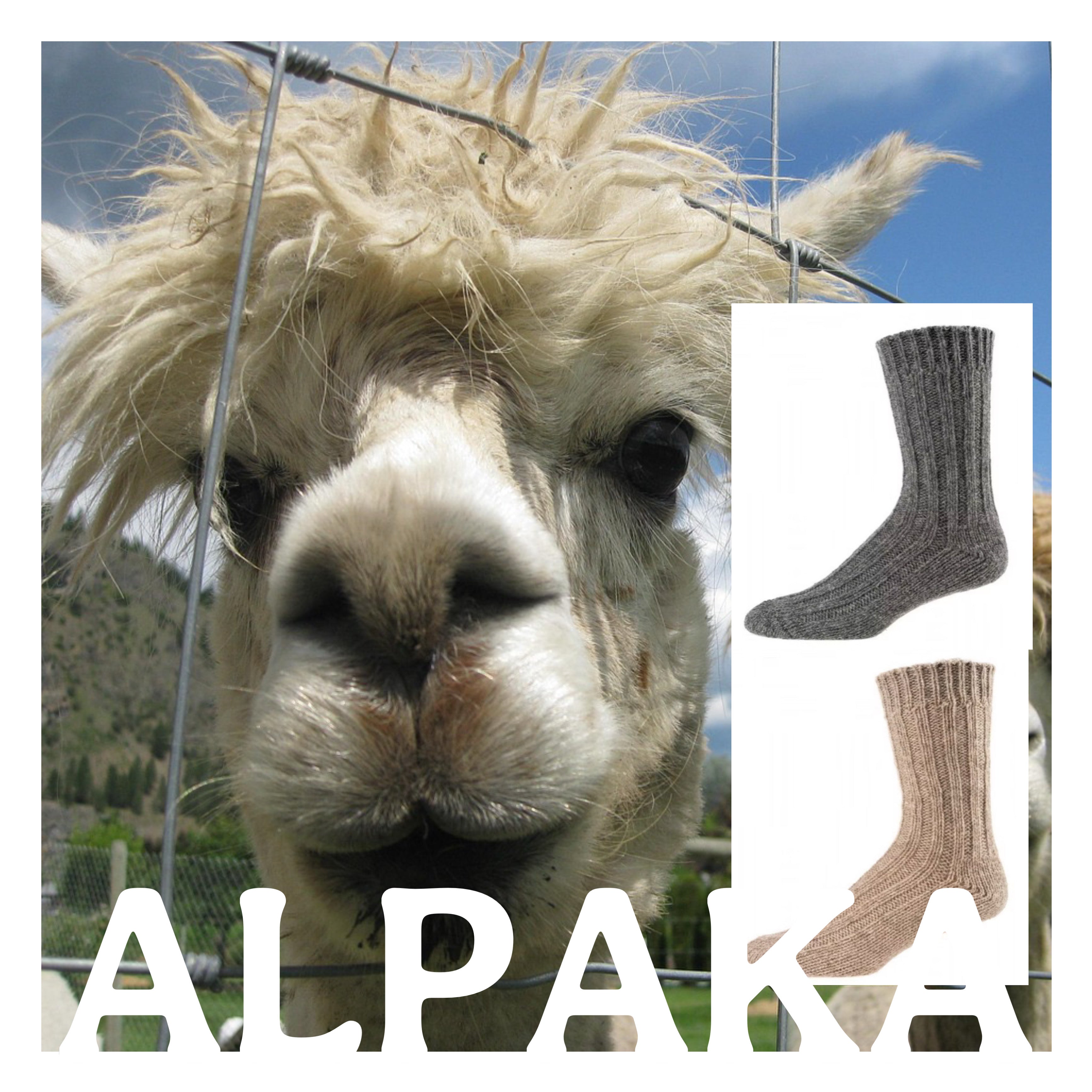 Alpaka Socken